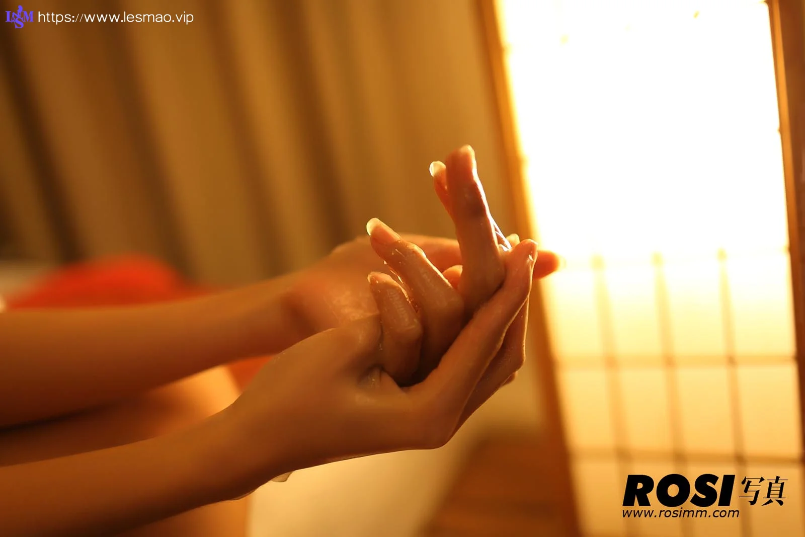 Rosi 写真 No.212 50P/46.13M - 46