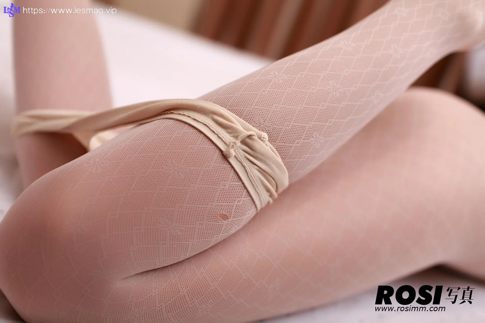 Rosi 写真 No.255 35P/31.50M - 18