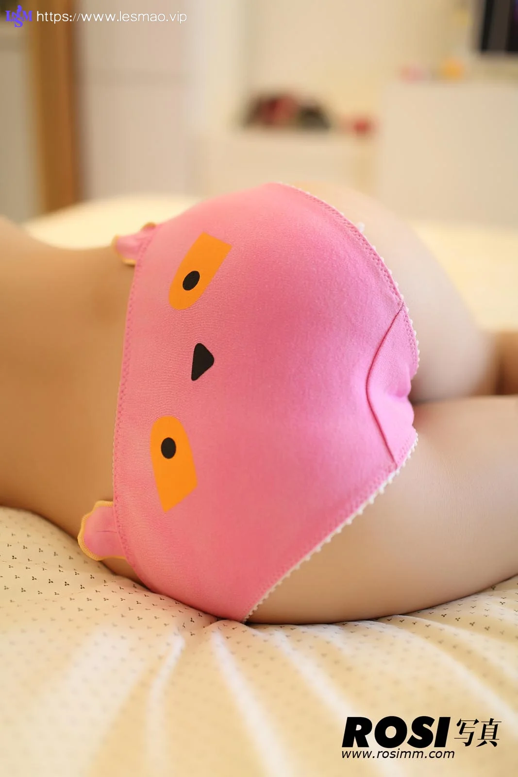 Rosi 写真 No.334 26P/24M - 12