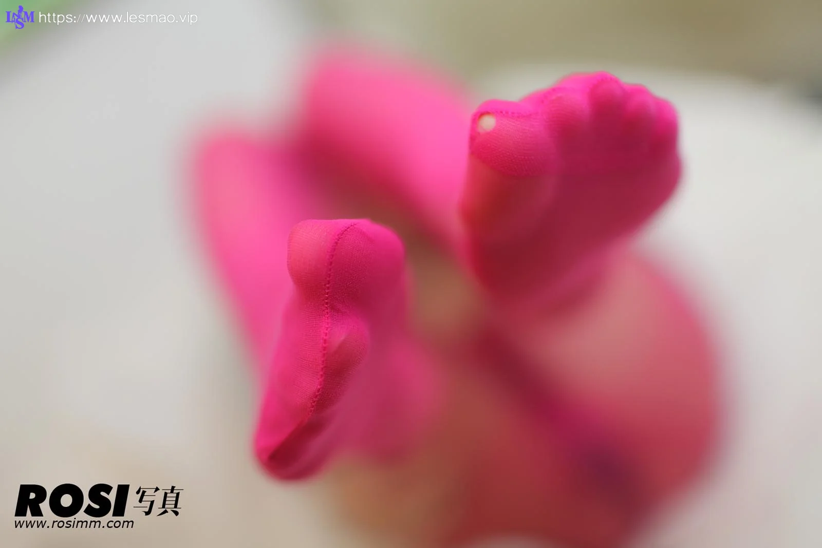 Rosi 写真 No.375 55P/46.0M - 47