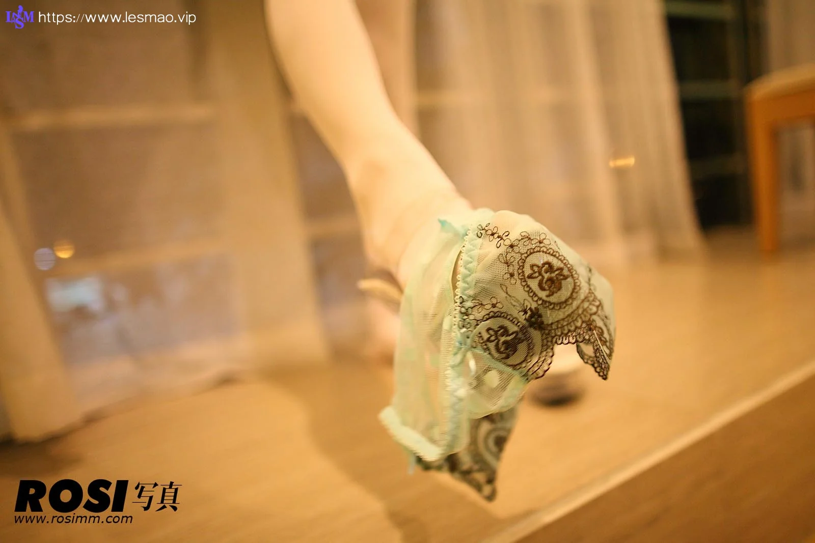 Rosi 写真 No.426 68P/80.9M - 30