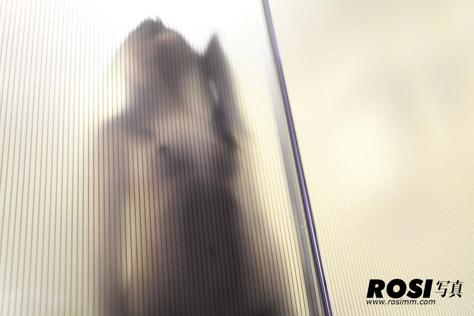Rosi 写真 No.445 81P/111.0M - 75