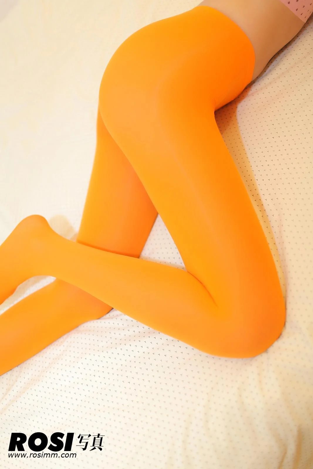 Rosi 写真 No.531 40P/32M - 31