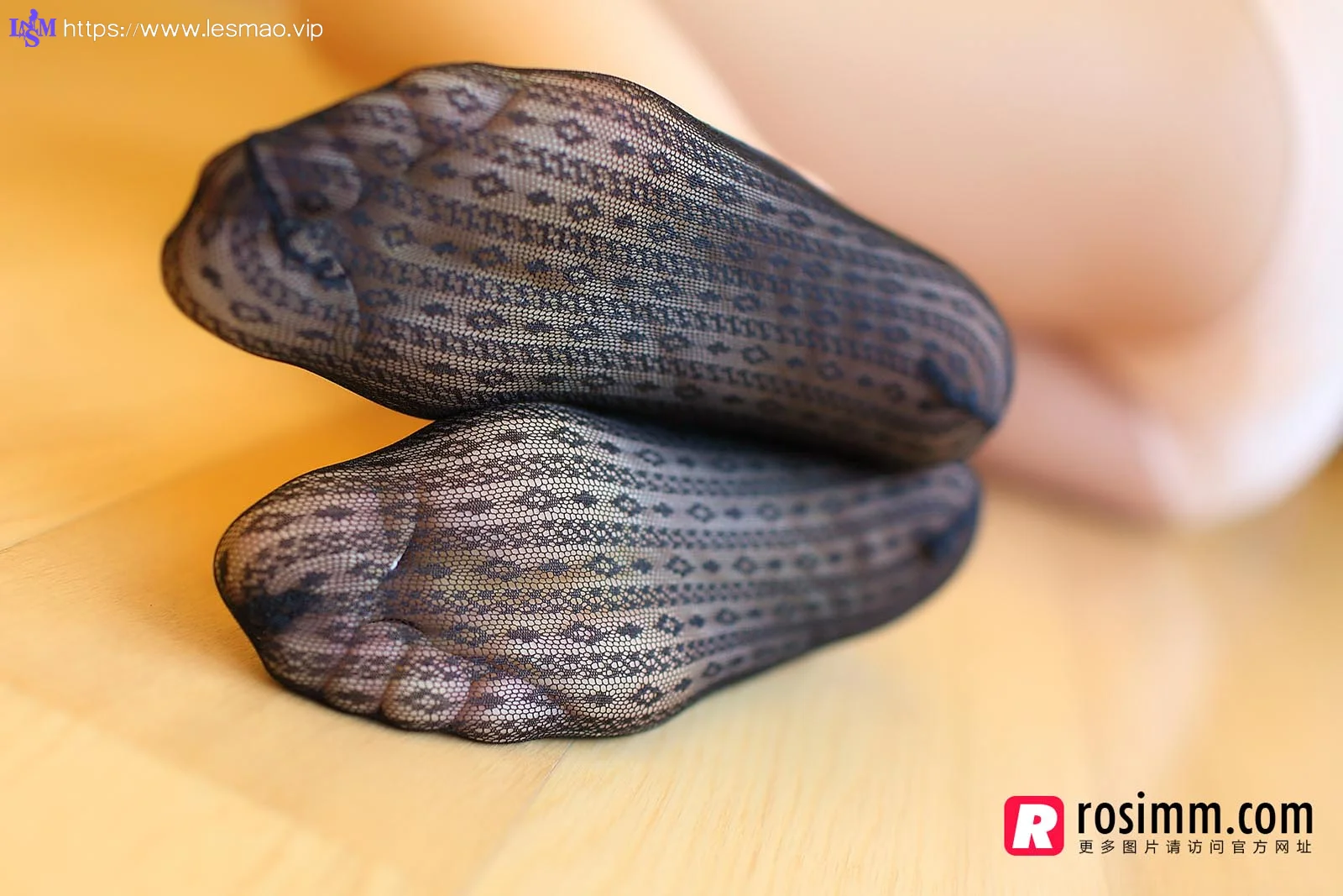 Rosi 写真 No.781 22P/26.9M - 14
