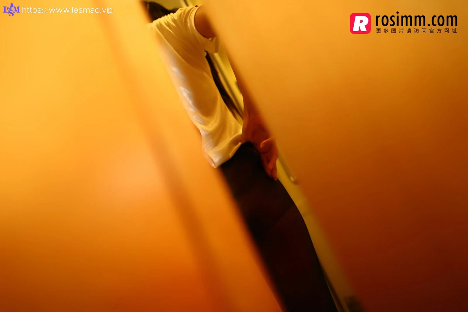 Rosi 写真 No.892 47P/34.9M - 17
