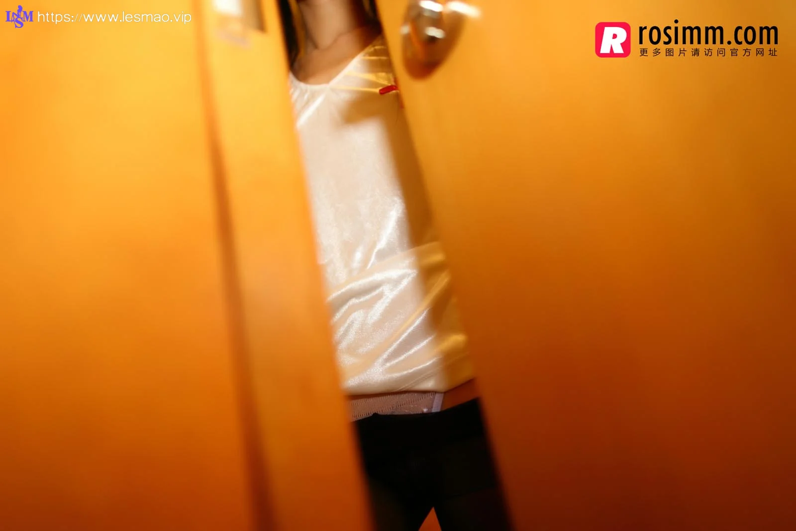 Rosi 写真 No.892 47P/34.9M - 24