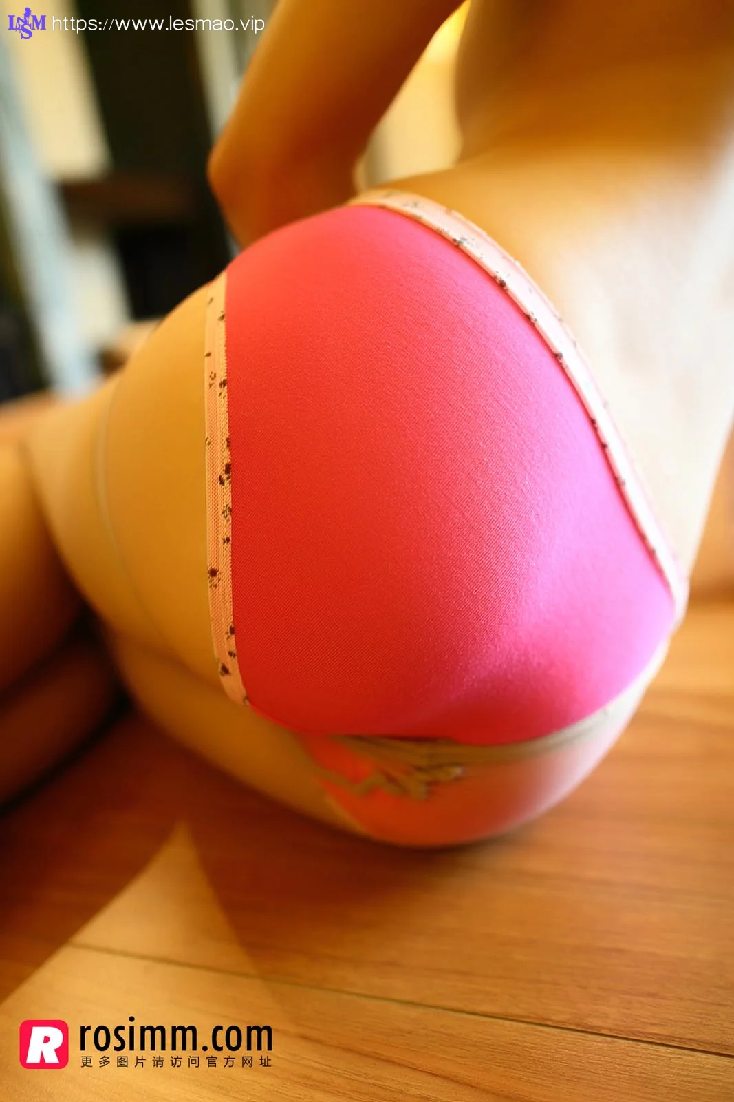 Rosi 写真 No.952 31P/30.37M - 17