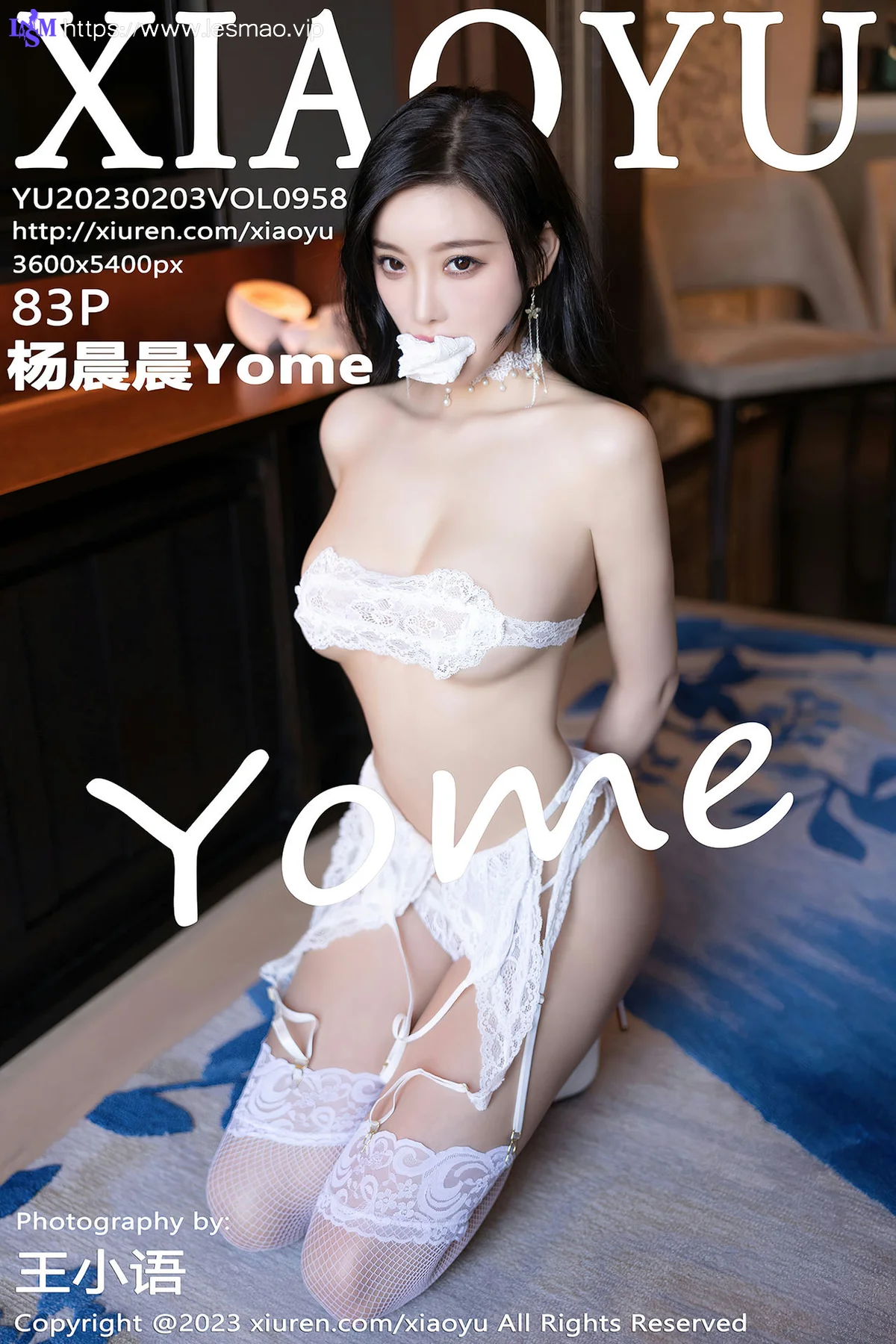 XIAOYU  语画界 Vol.958  杨晨晨Yome 捆绑白色蕾丝边丝袜 - 84