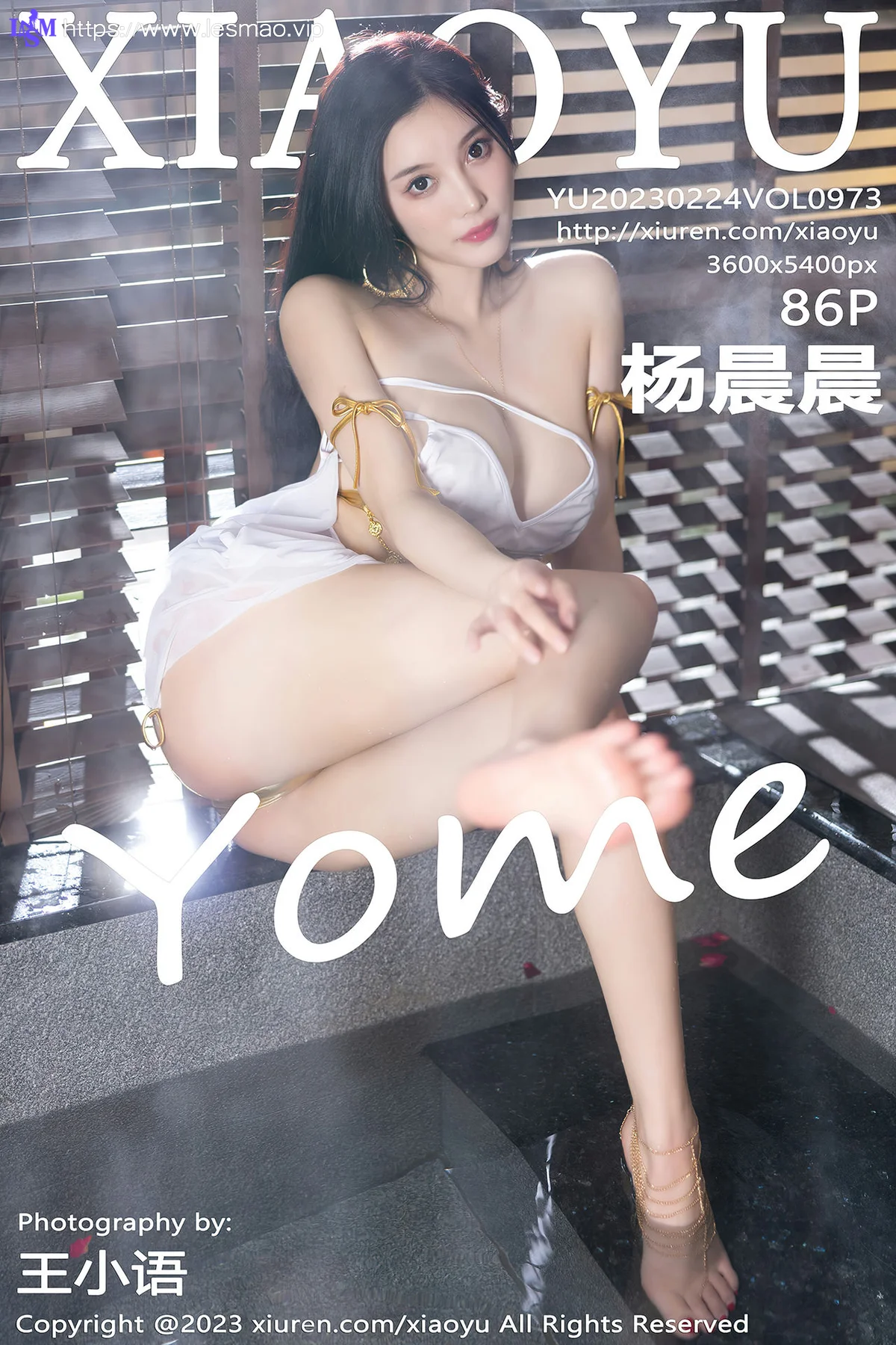 XIAOYU  语画界 Vol.973  杨晨晨Yome 温泉湿身纱裙性感写真1 - 87