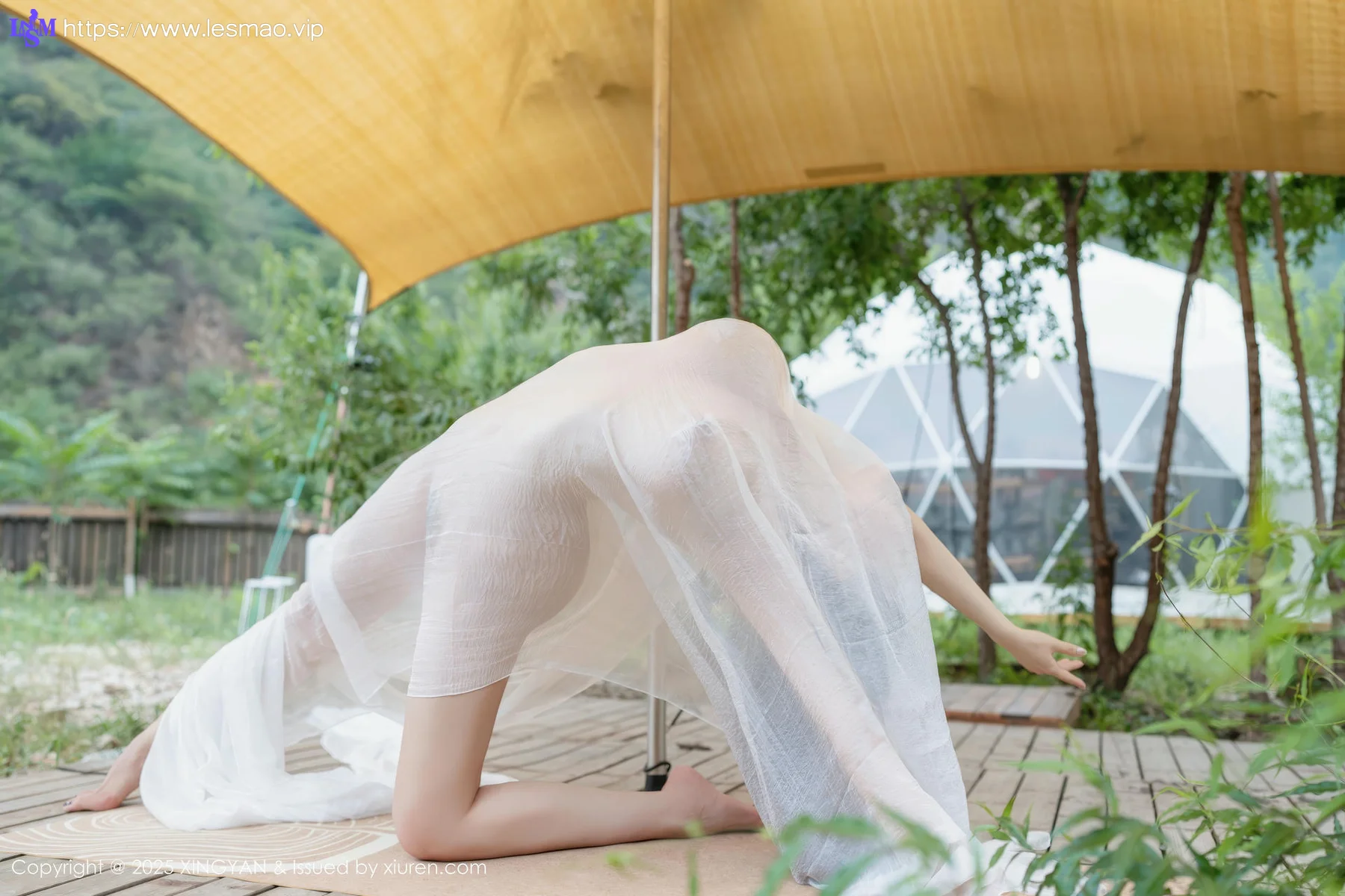XINGYAN 星颜社 Vol.298 清妙 玉体透视好身材 - 22