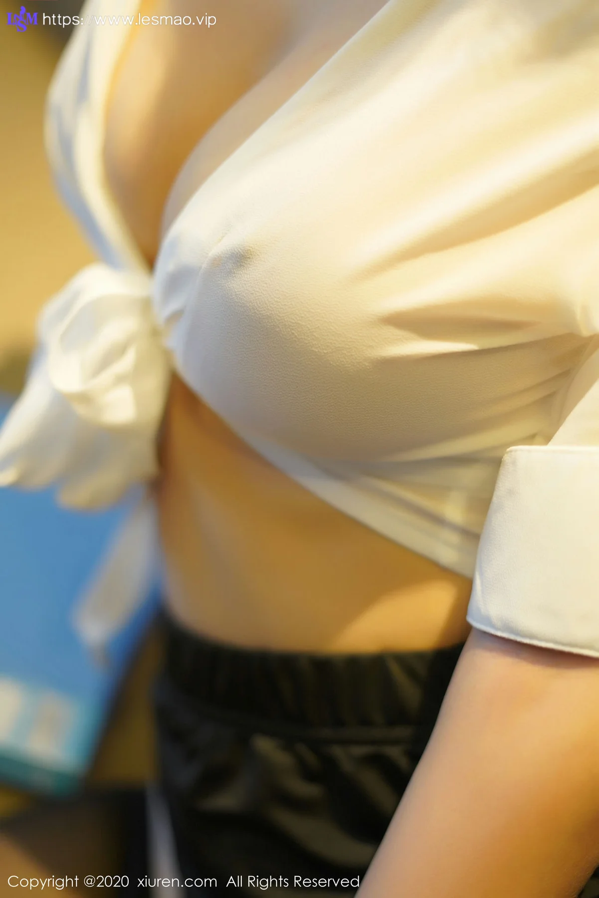 XiuRen 秀人 No.2253 爆乳女神黑丝 田小燕Vicky - 17