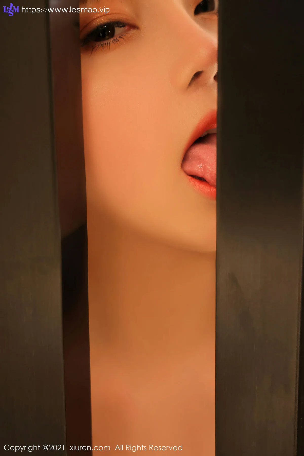 XiuRen 秀人 No.3534 的车拍系列 豆瓣酱 白色吊袜性感写真3 - 33