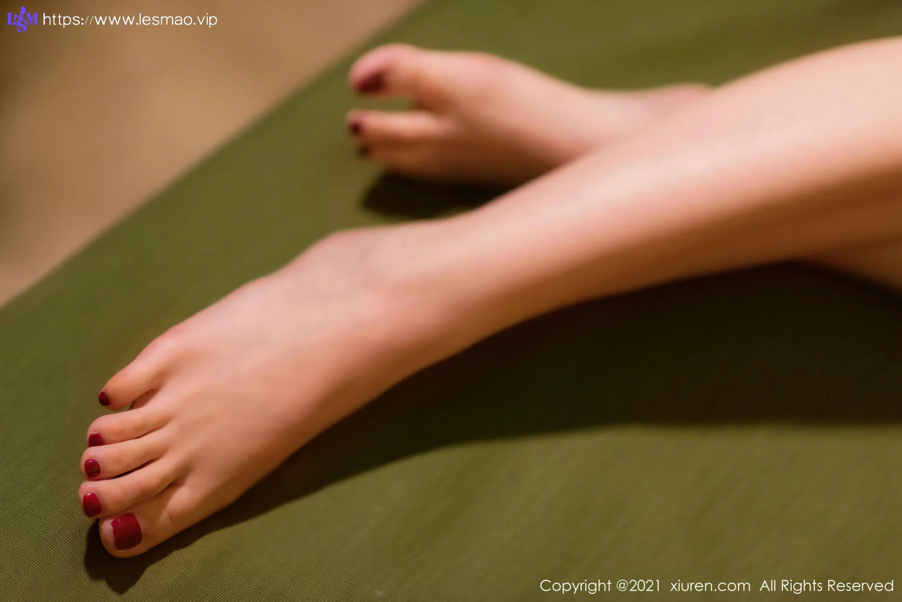 XiuRen 秀人 No.3688 沉睡诱惑 沈梦瑶 性感写真33 - 40