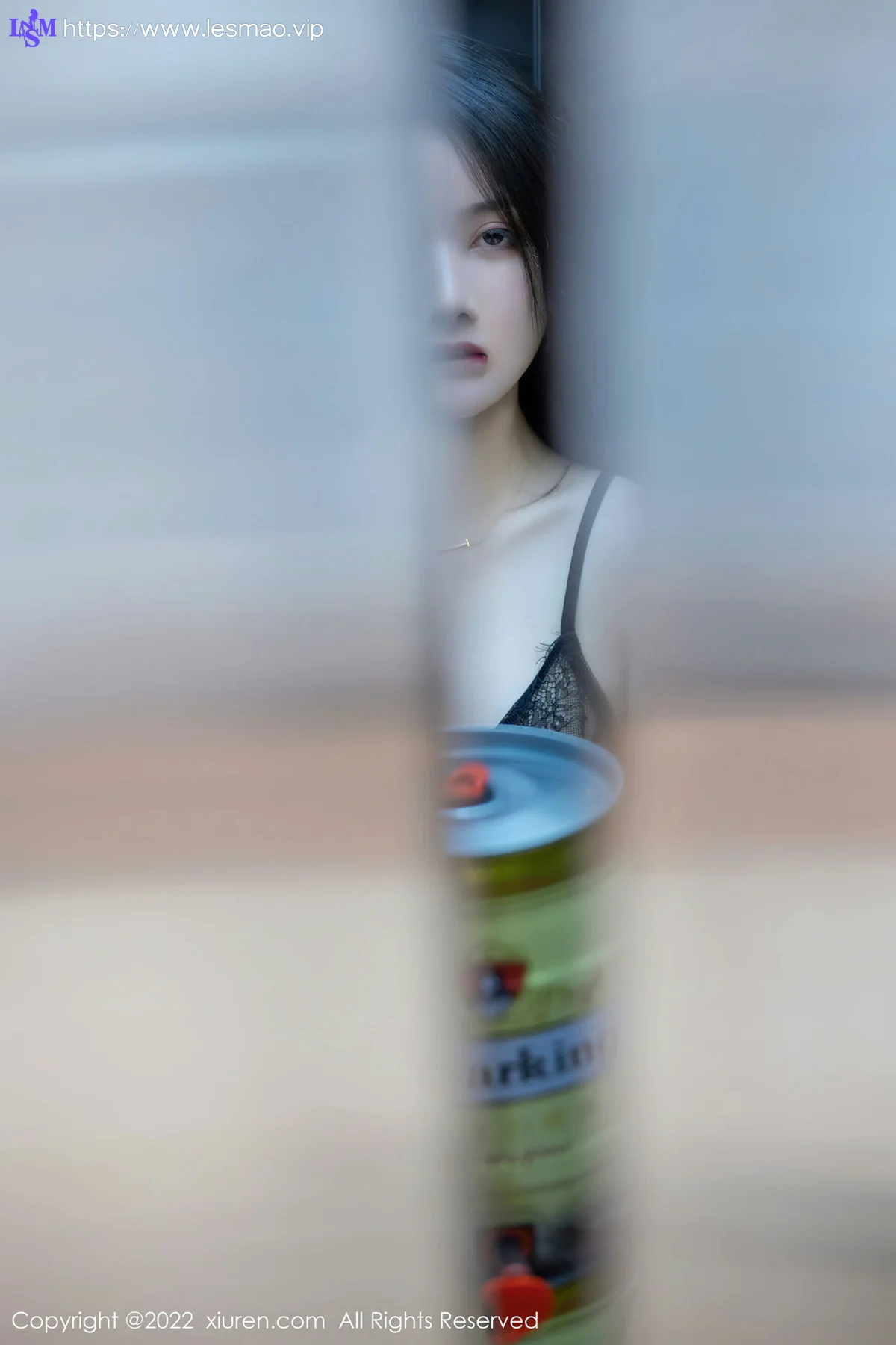 XiuRen 秀人 No.4513 电梯间艳遇 summer宝宝 性感写真 - 55