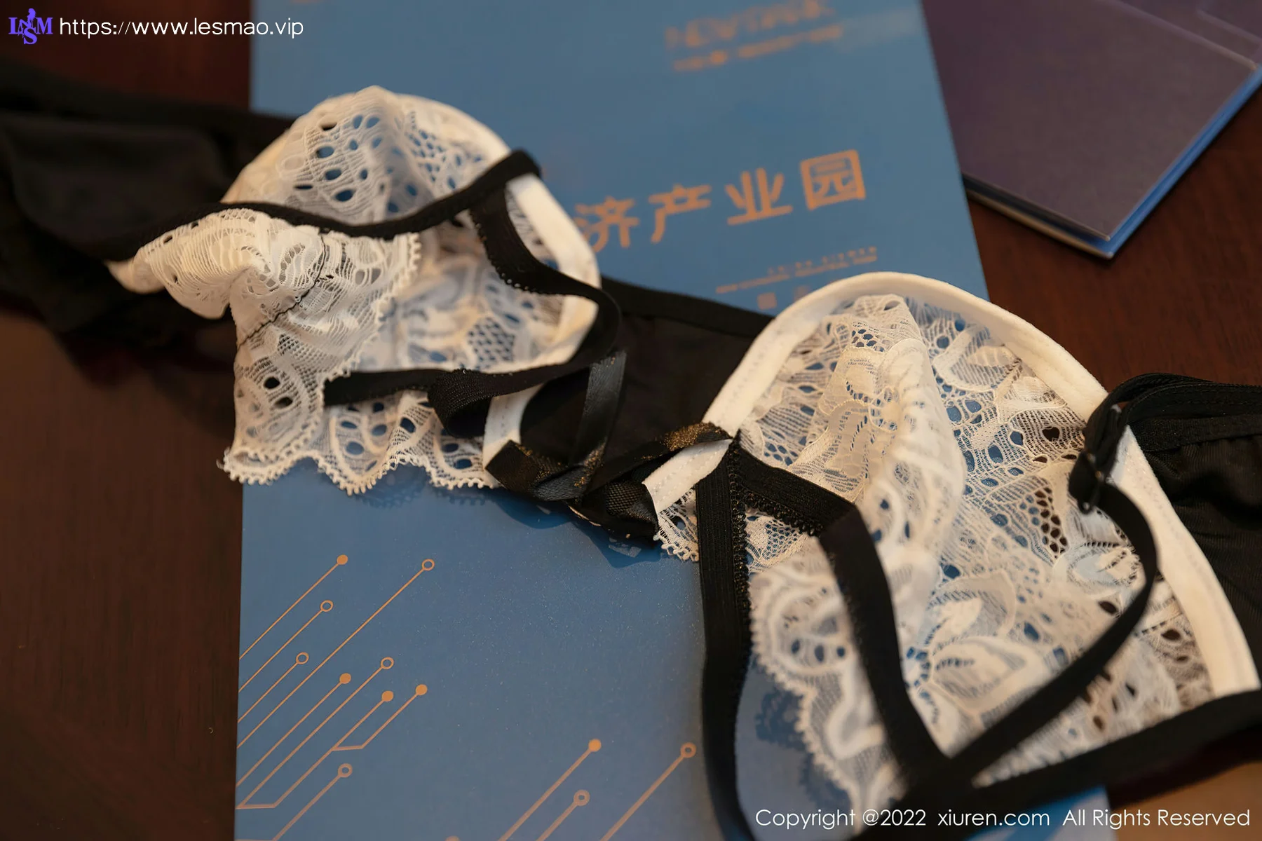 XiuRen 秀人 No.4775 黑白拼色蕾丝 王雨纯 性感写真2 - 44