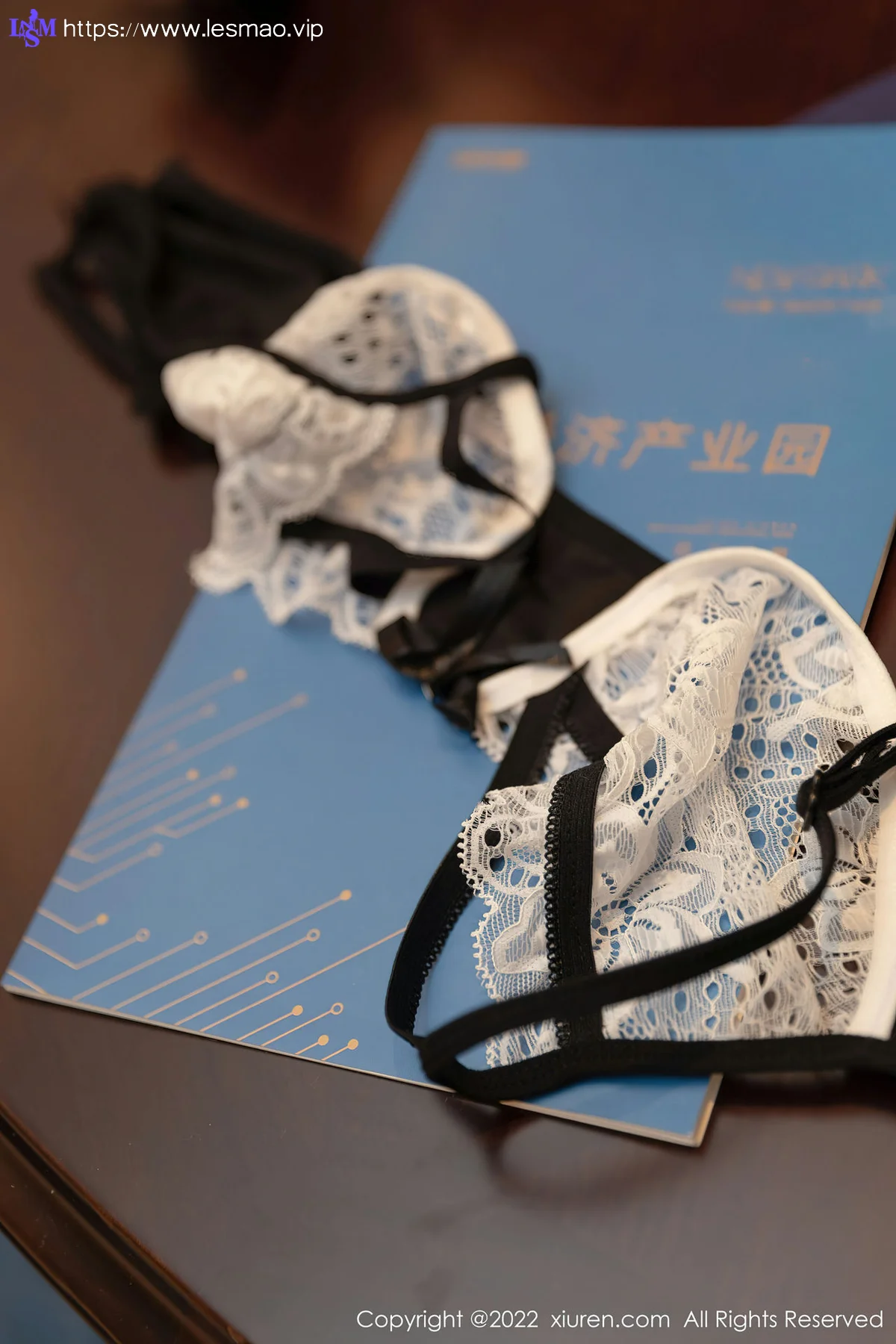 XiuRen 秀人 No.4775 黑白拼色蕾丝 王雨纯 性感写真2 - 45