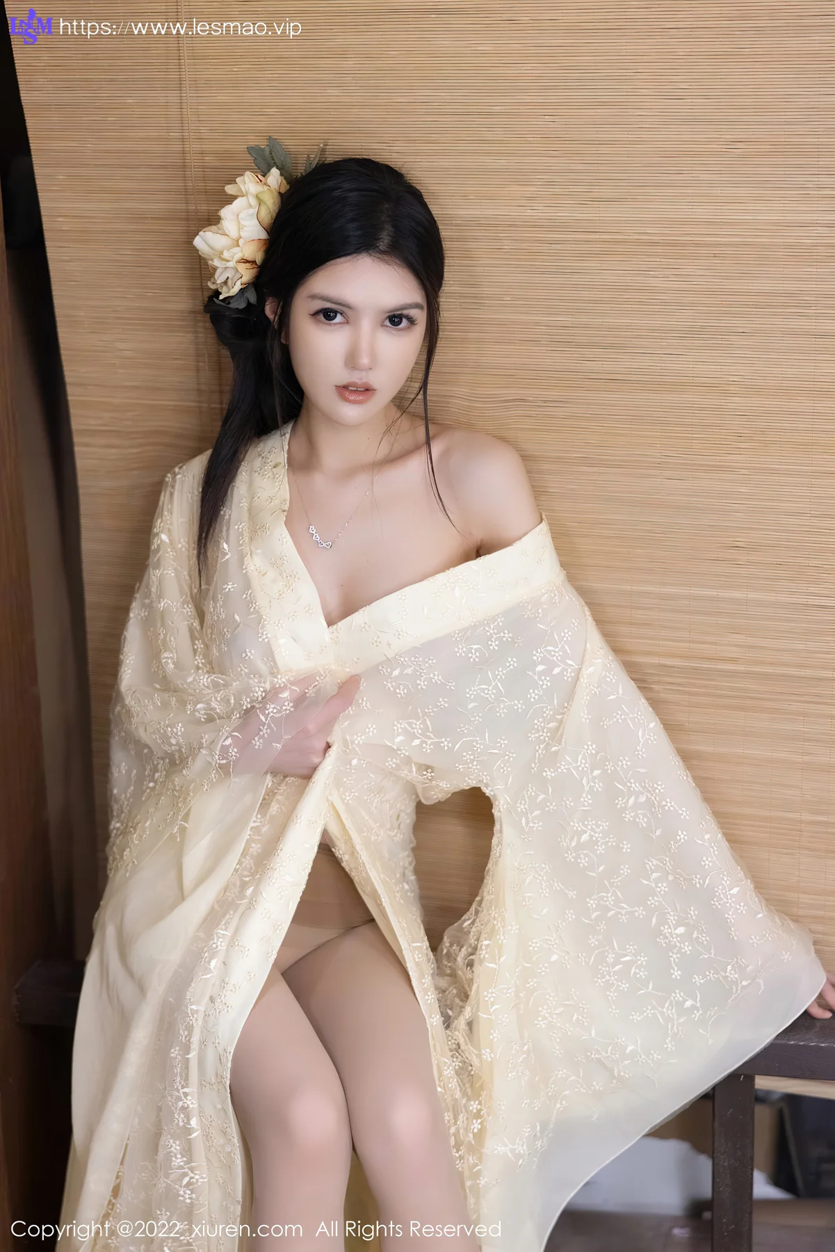 XiuRen 秀人 No.5387 轻透古装 媛媛酱belle 性感私房33 - 9