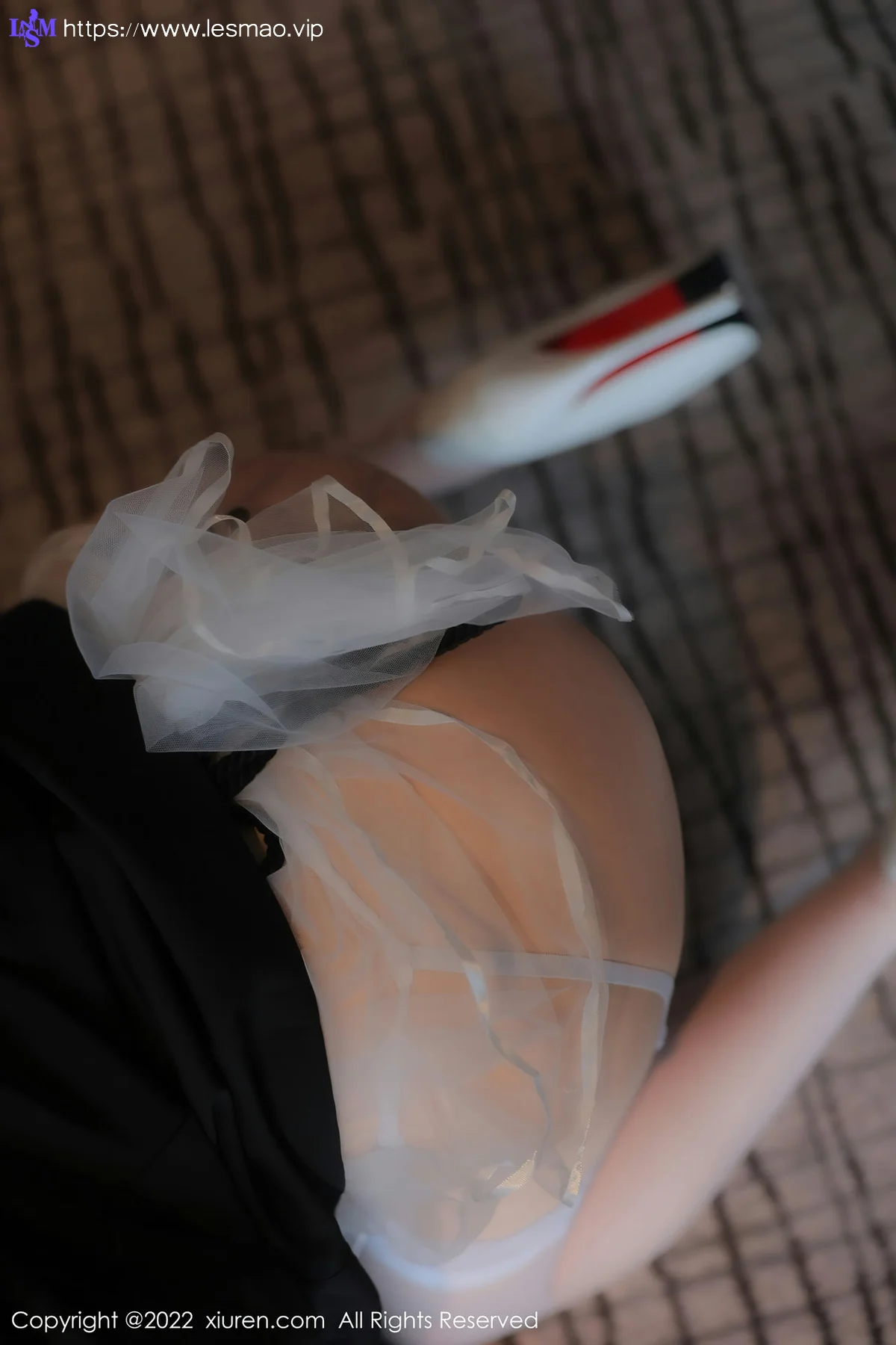 XiuRen 秀人 No.5565 顾乔楠Cora轻透薄纱公主裙性感写真2 - 28