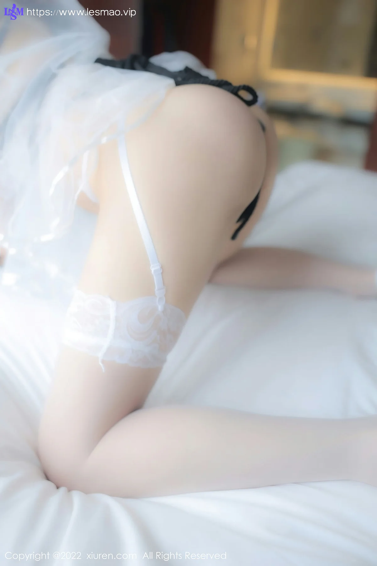 XiuRen 秀人 No.5565 顾乔楠Cora轻透薄纱公主裙性感写真2 - 69