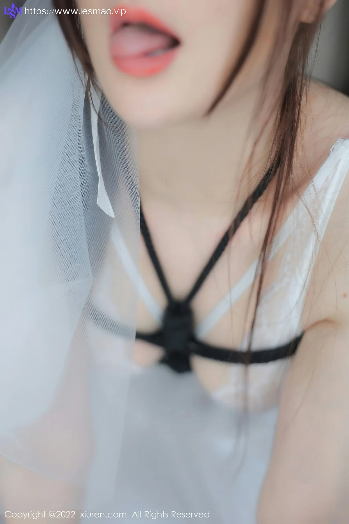 XiuRen 秀人 No.5565 顾乔楠Cora轻透薄纱公主裙性感写真2 - 77