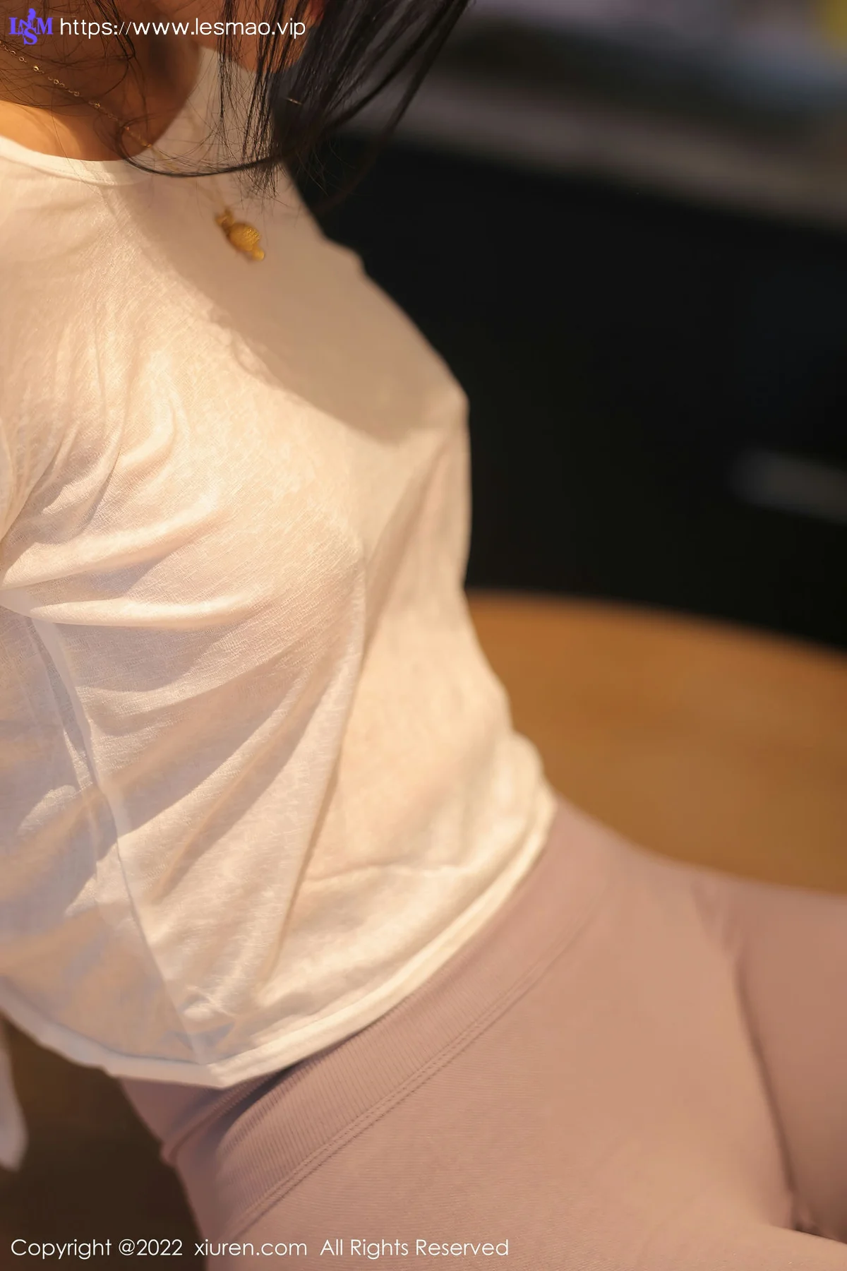 XiuRen 秀人 No.5799 苏苏阿 新人首套写真1 - 20