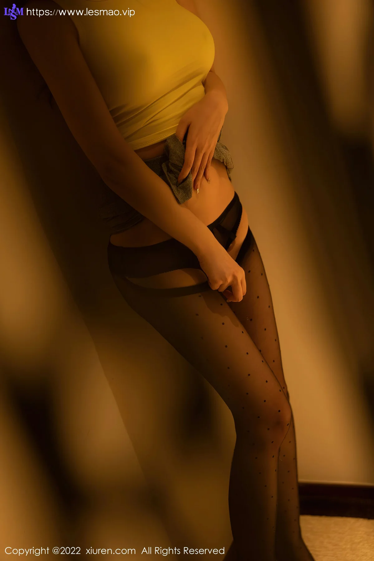 XiuRen 秀人 No.5843 顾乔楠Cora 魅惑黑丝性感写真33 - 28