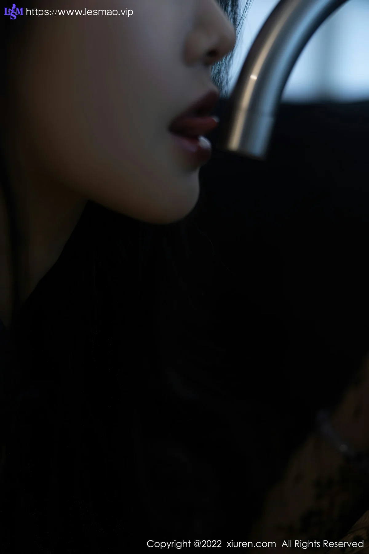 XiuRen 秀人 No.5864 苏苏阿 轻透情趣服饰新人第二套写真 - 22