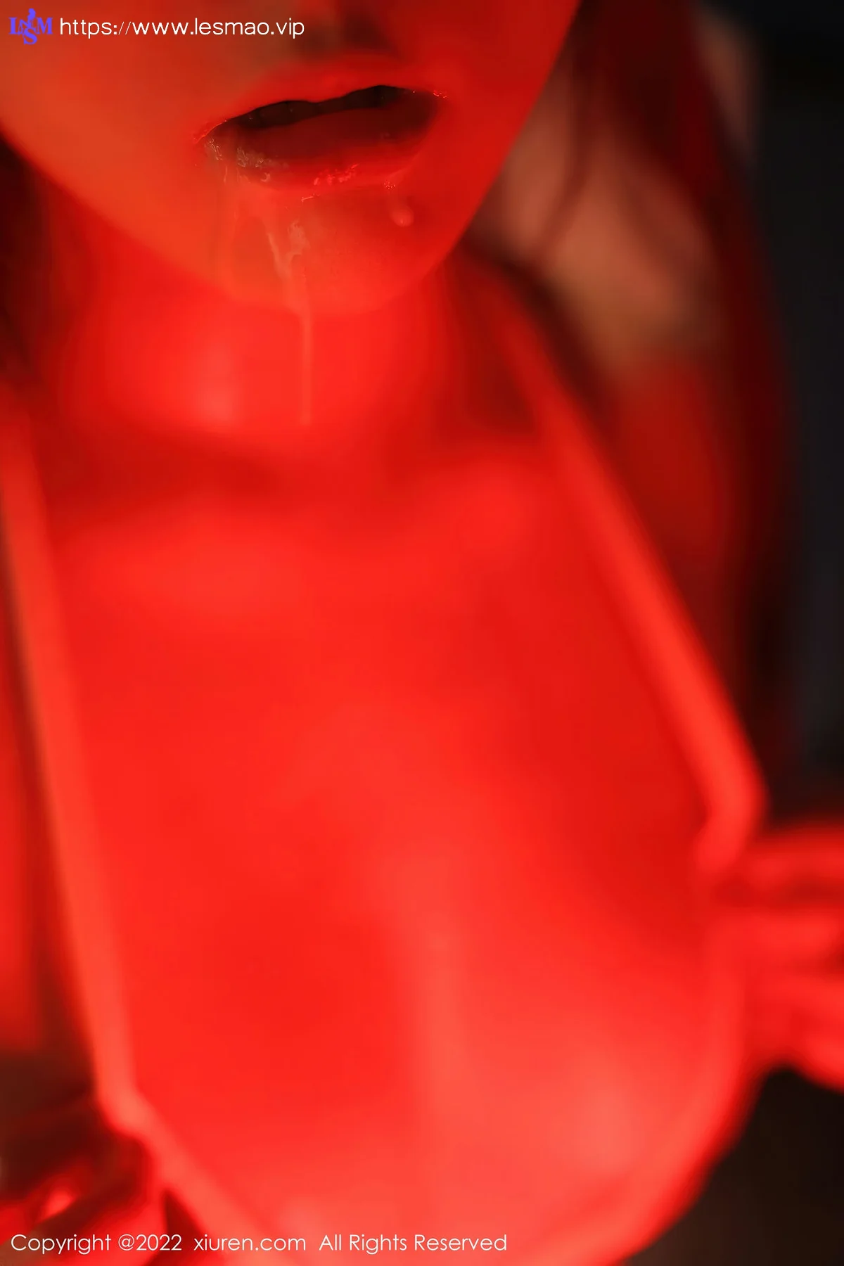 XiuRen 秀人 No.5972 豆瓣酱 情趣内衣性感写真 - 66