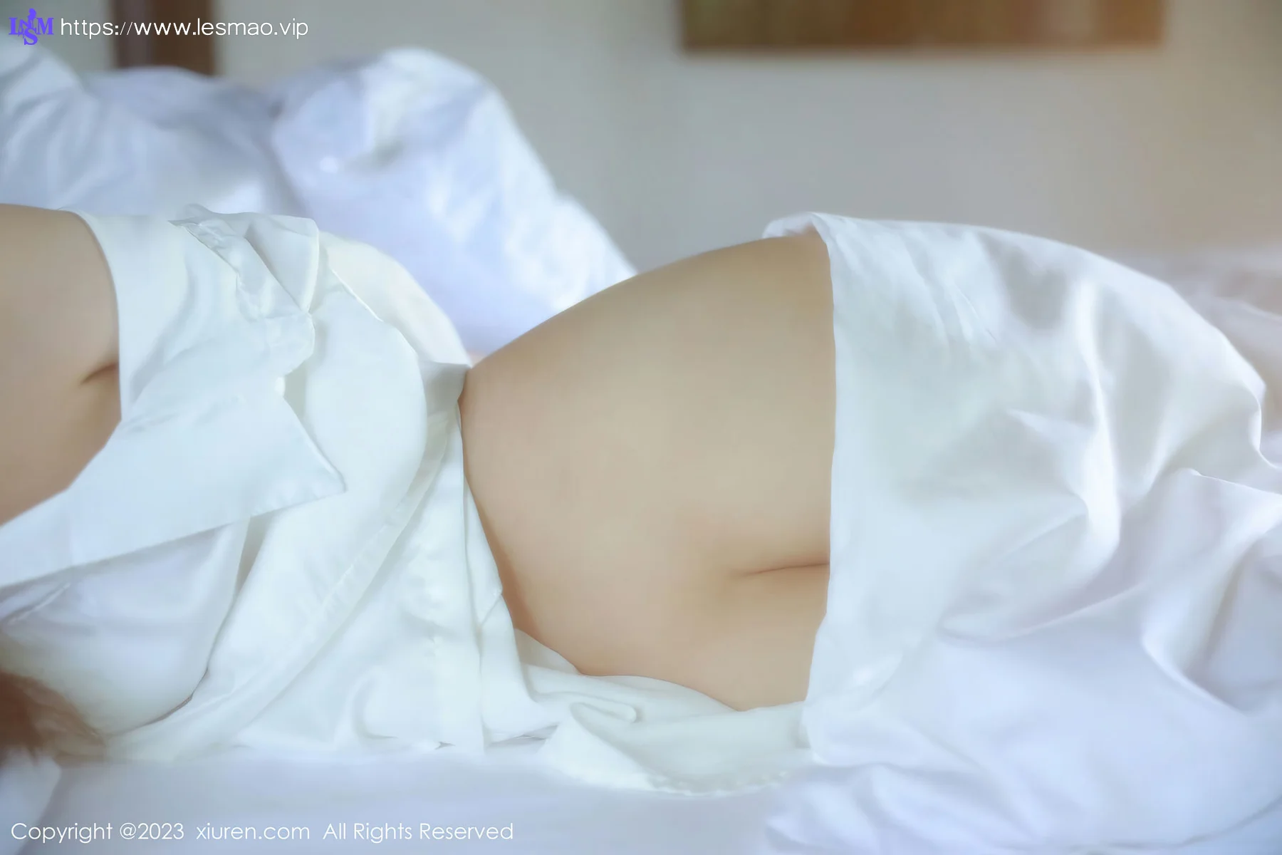 XiuRen 秀人 No.6183 谢晚晚 美臀气质美女 - 24