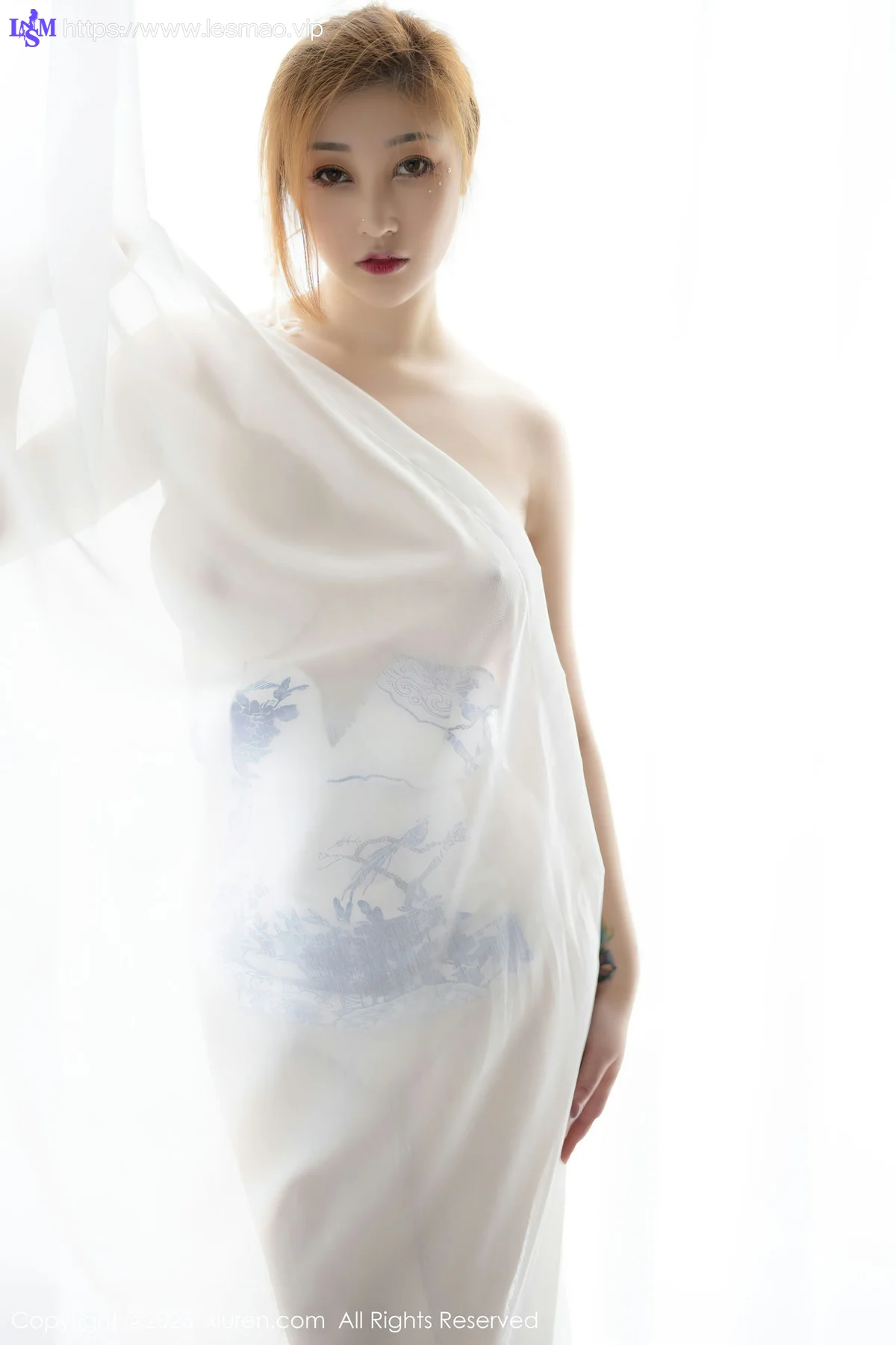XiuRen 秀人 No.6199 妲己_Toxic 轻透青花图写真 - 42