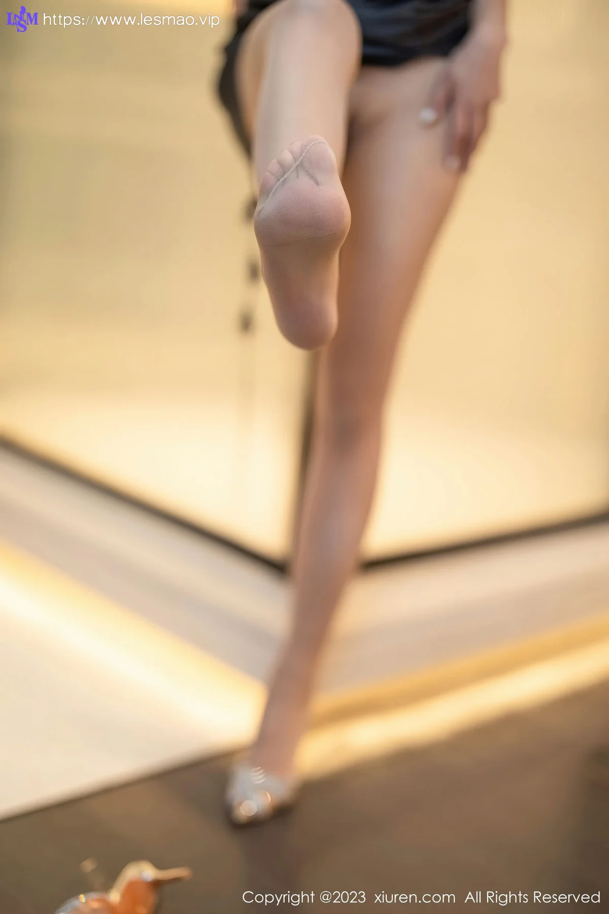 XiuRen 秀人 No.6273 icy猪 新人翘臀性感写真 - 13