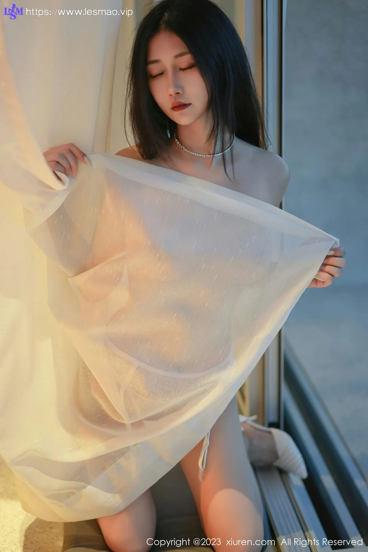XiuRen 秀人 No.6729 laura阿姣 轻透蕾丝内衣写真33 - 22