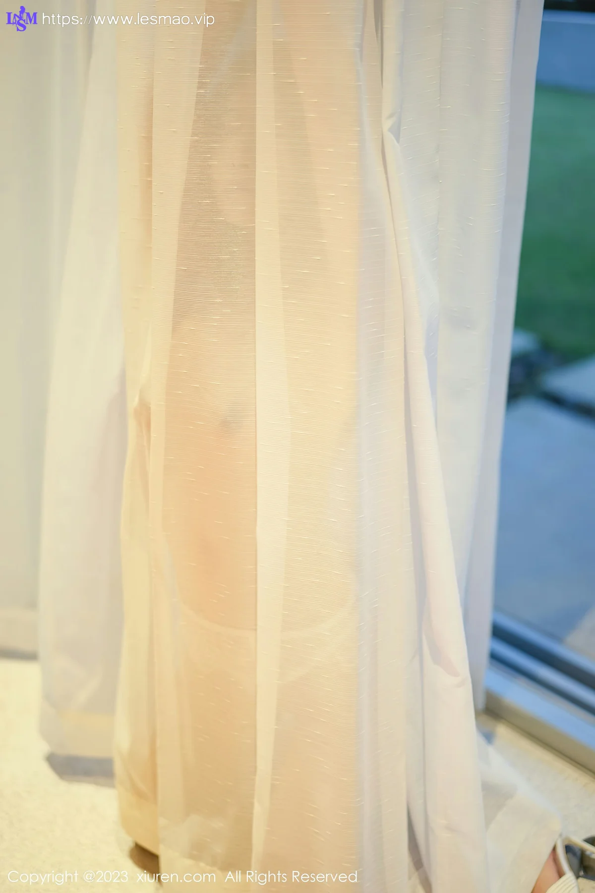 XiuRen 秀人 No.6729 laura阿姣 轻透蕾丝内衣写真33 - 23