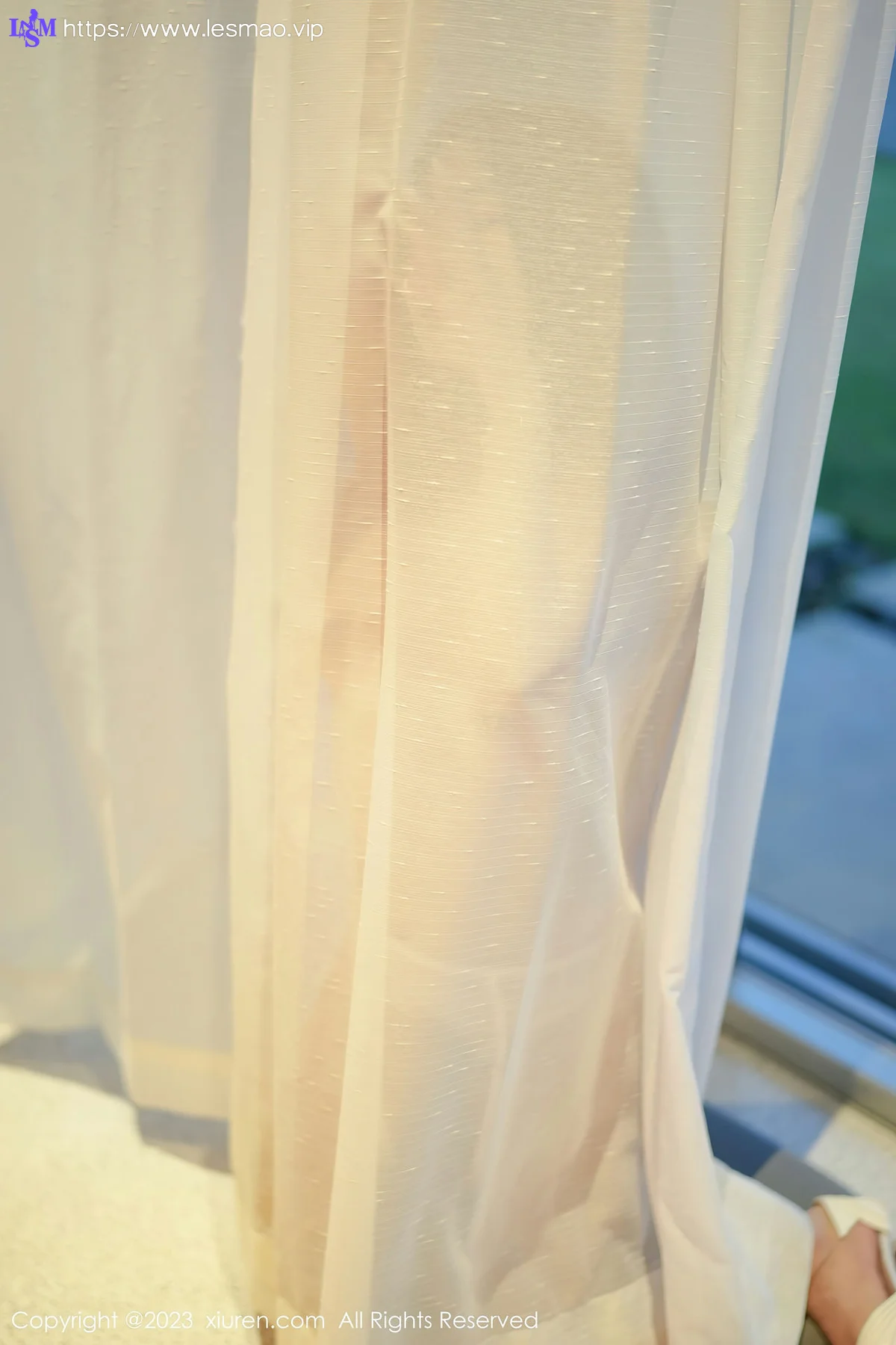 XiuRen 秀人 No.6729 laura阿姣 轻透蕾丝内衣写真33 - 24