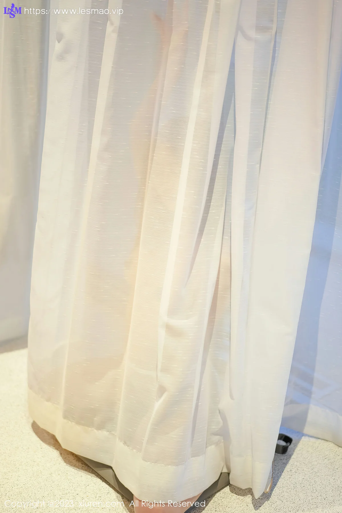 XiuRen 秀人 No.6729 laura阿姣 轻透蕾丝内衣写真33 - 27