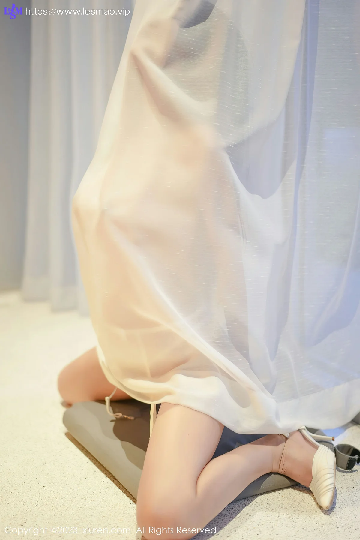 XiuRen 秀人 No.6729 laura阿姣 轻透蕾丝内衣写真33 - 28