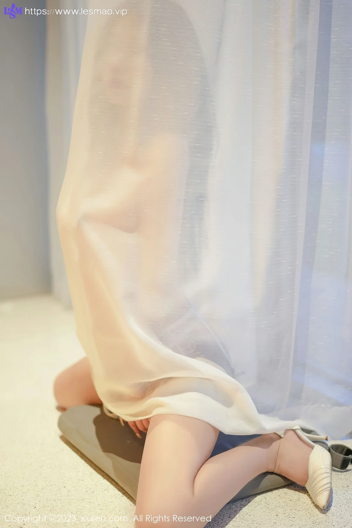 XiuRen 秀人 No.6729 laura阿姣 轻透蕾丝内衣写真33 - 30