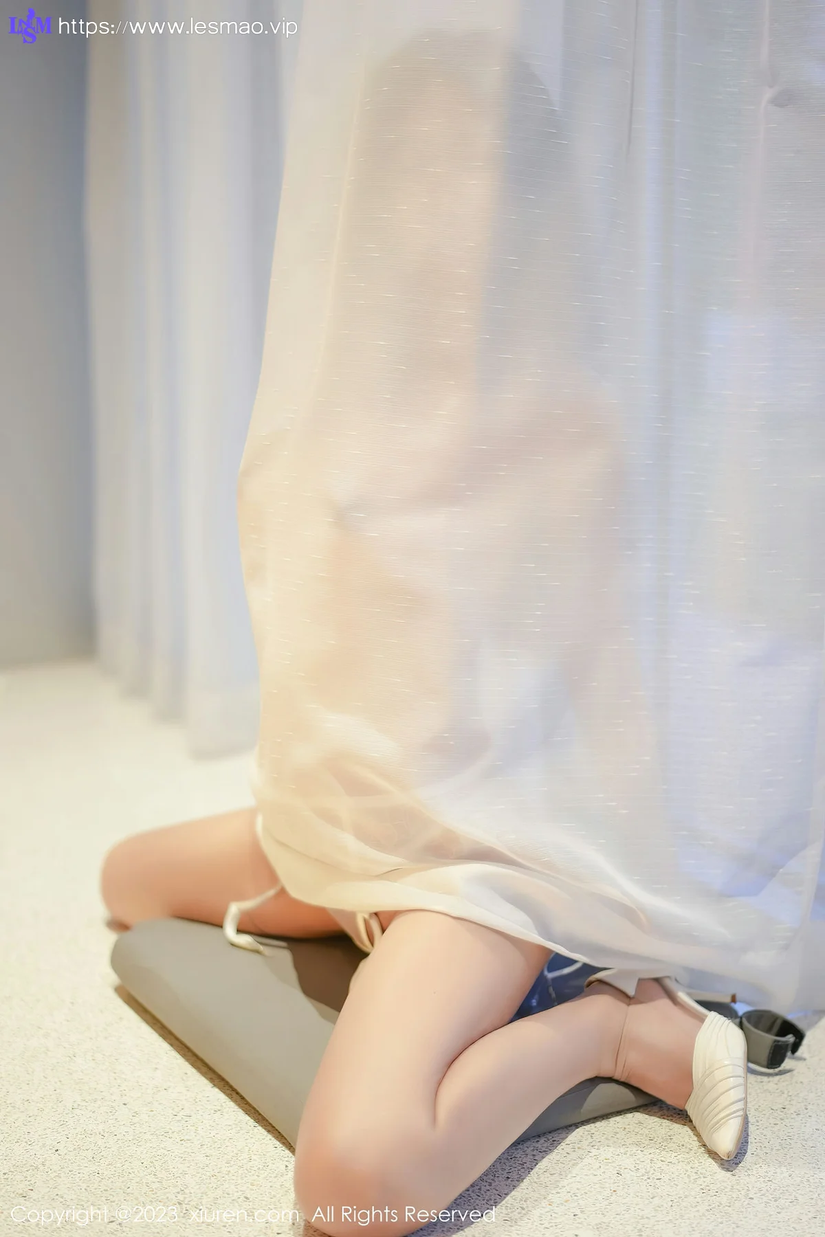 XiuRen 秀人 No.6729 laura阿姣 轻透蕾丝内衣写真33 - 31