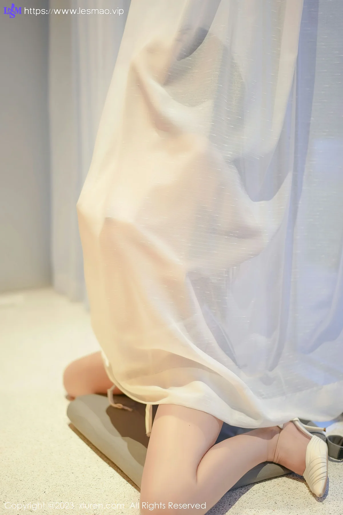 XiuRen 秀人 No.6729 laura阿姣 轻透蕾丝内衣写真33 - 63