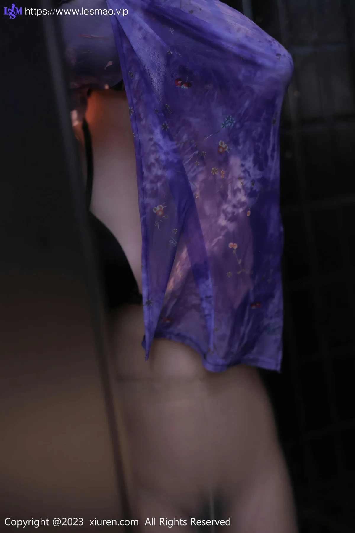 XiuRen 秀人 No.6876 司柠 湿身诱惑性感写真33 - 52