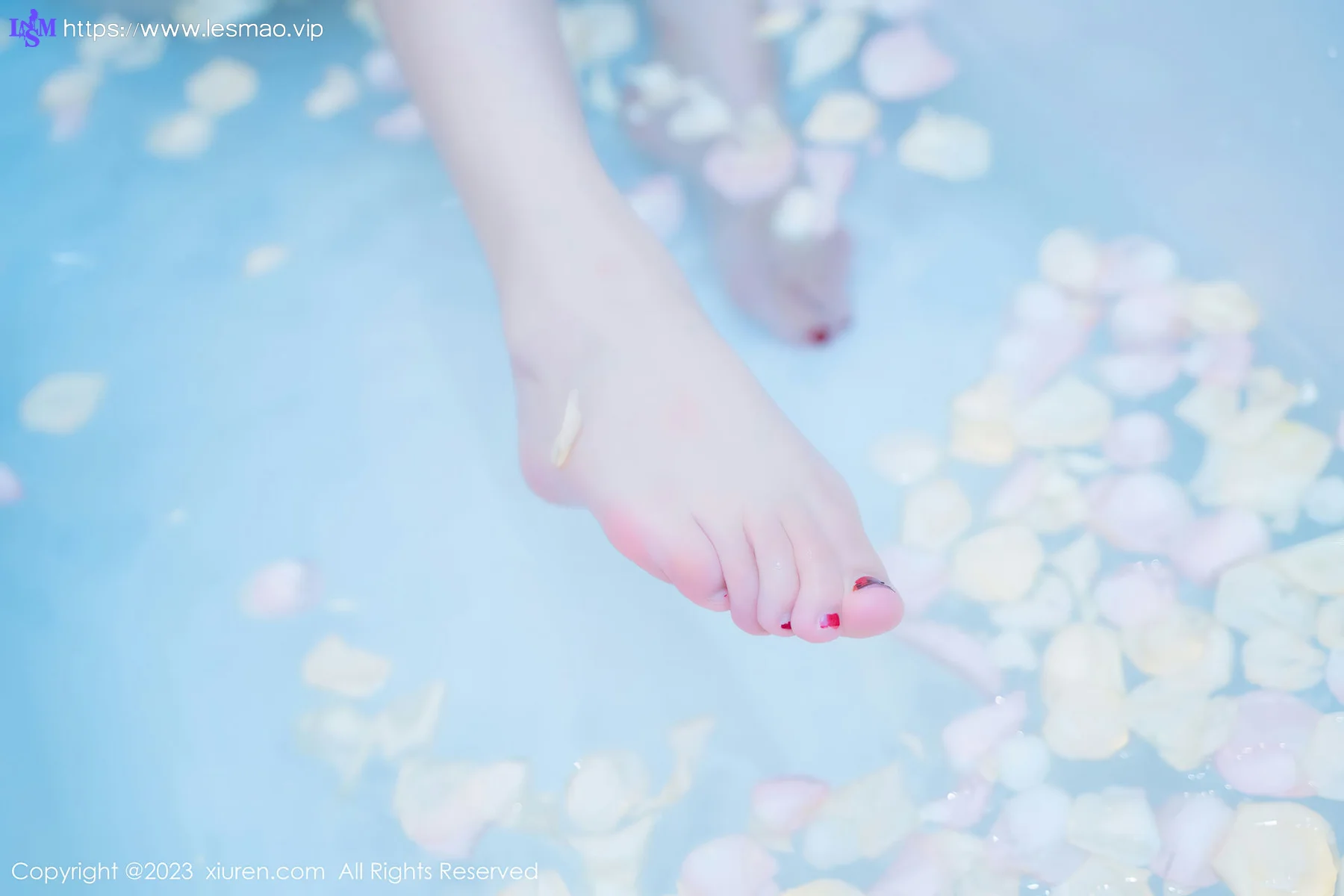 XiuRen 秀人 No.6986 加朵babe 轻透花色内衣性感写真 - 65