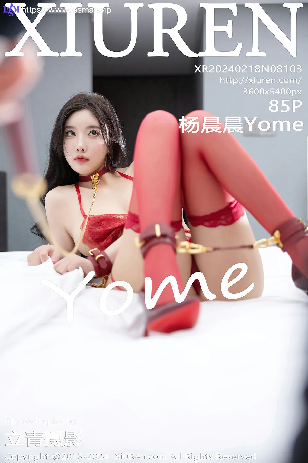 XiuRen 秀人 No.8103  杨晨晨Yome 魅惑灰丝性感写真1 - 170