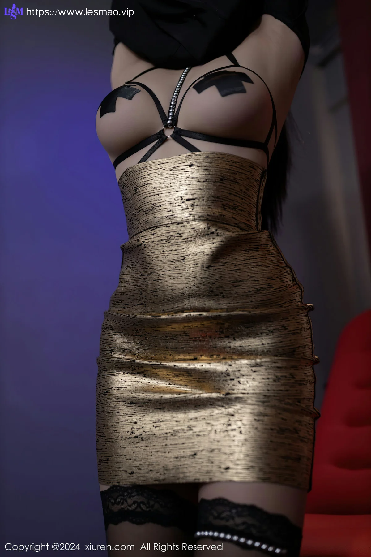XiuRen 秀人 No.8292  安然anran 魅惑黑丝性感写真11 - 17