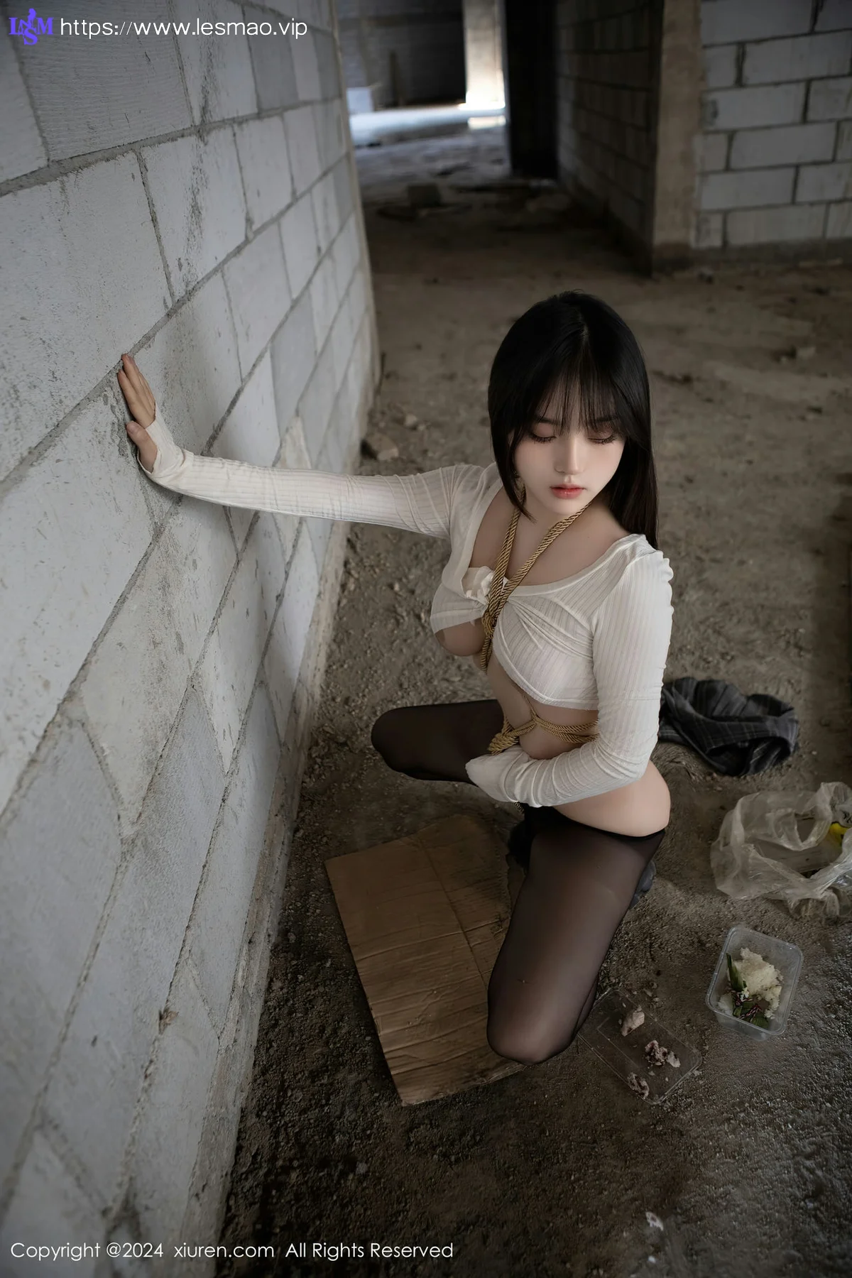 XiuRen 秀人 No.8439 豆瓣酱 捆绑主题性感写真11 - 25