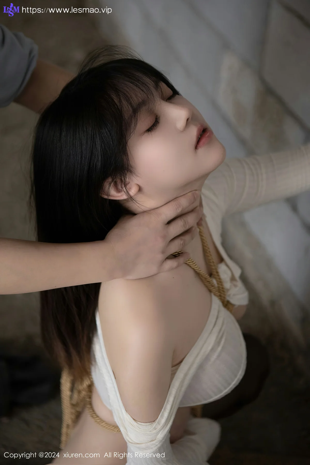XiuRen 秀人 No.8439 豆瓣酱 捆绑主题性感写真11 - 41
