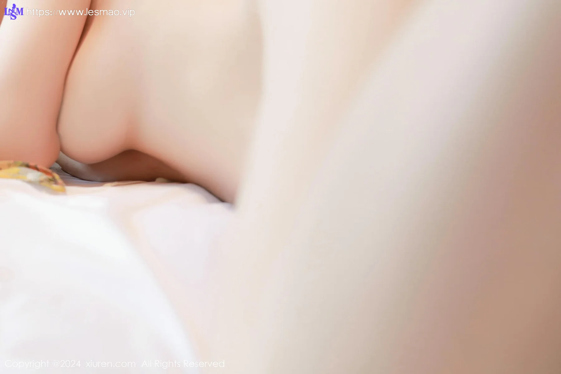XiuRen 秀人 No.8847 桃妖夭 粉白色蕾丝内衣性感写真11 - 46