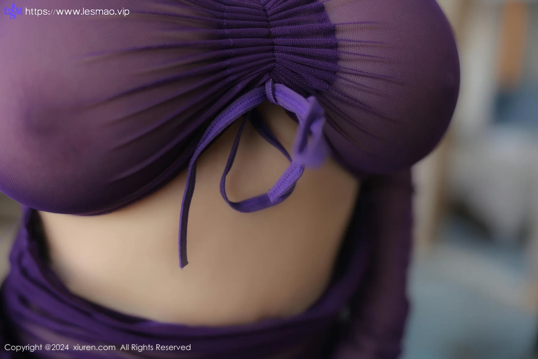 XiuRen 秀人 No.8992 娜娜子yy 紫色情趣服饰性感写真33 - 31