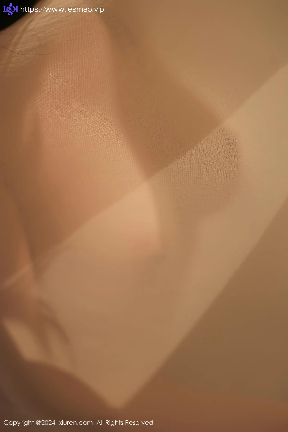 XiuRen 秀人 No.9073 麦田 兔子造型性感写真33 - 20
