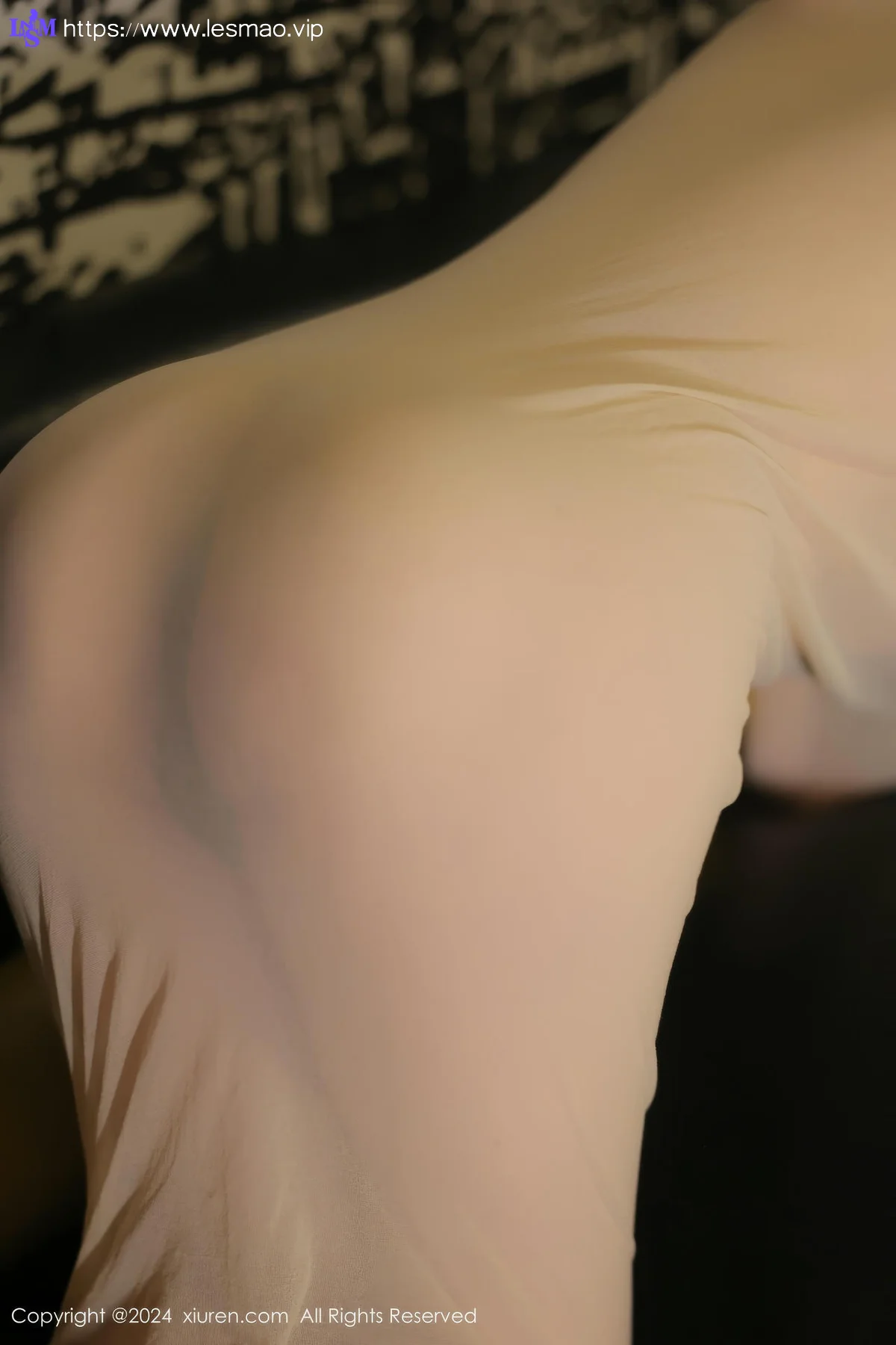 XiuRen 秀人 No.9073 麦田 兔子造型性感写真33 - 26