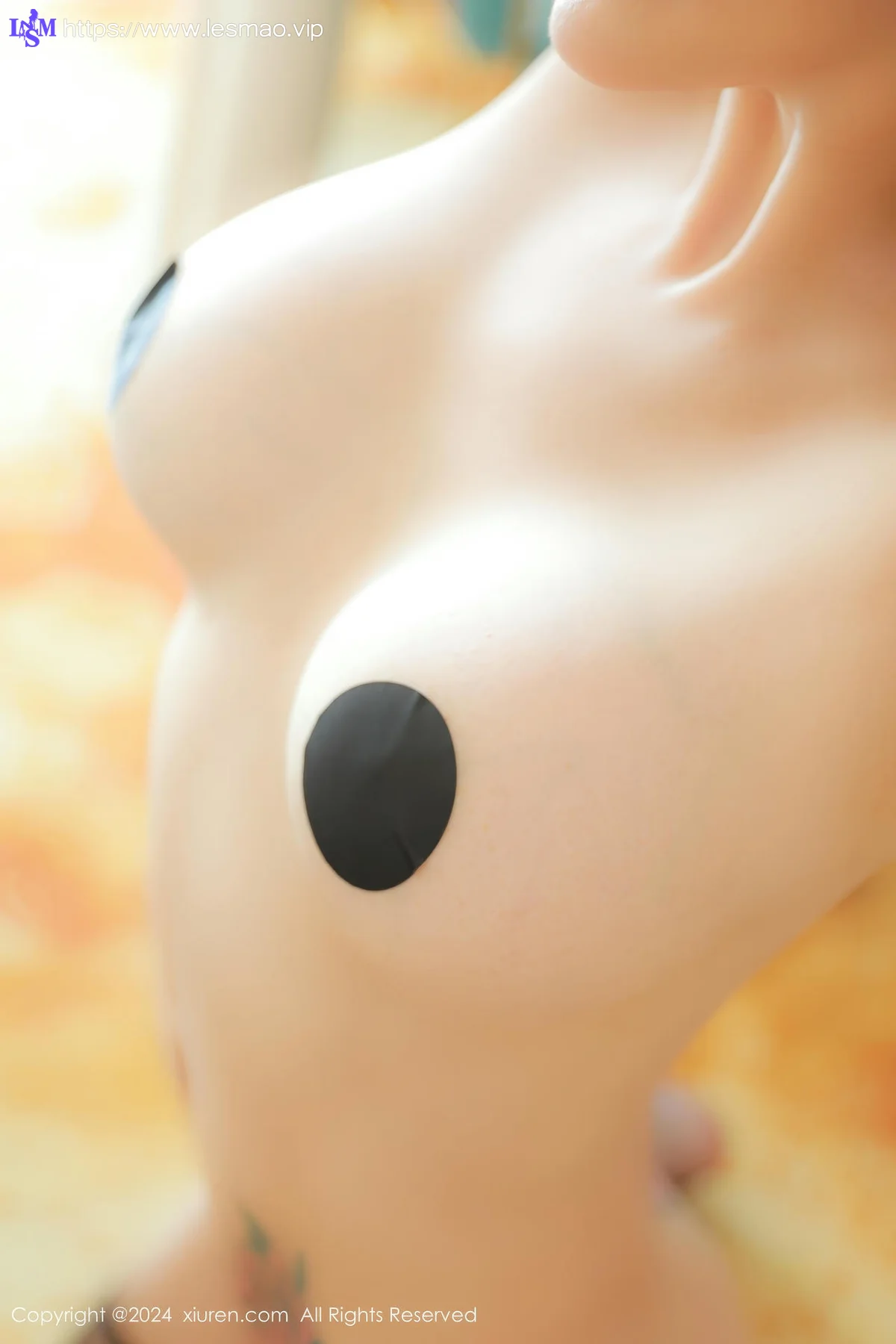 XiuRen 秀人 No.9547 田冰冰 欧范爆乳乳贴 - 50